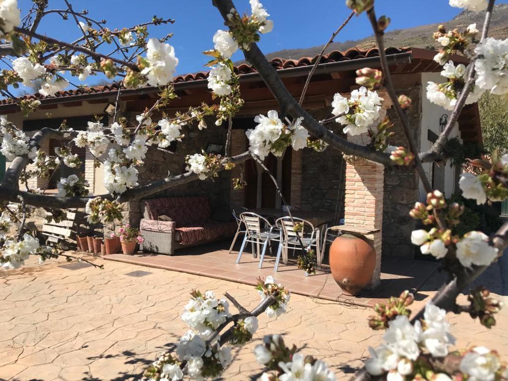 Casa Rural La Picotina Navaconcejo Kültér fotó