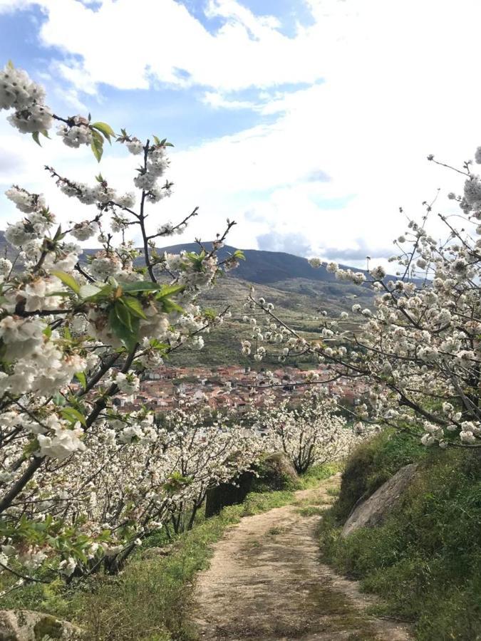Casa Rural La Picotina Navaconcejo Kültér fotó