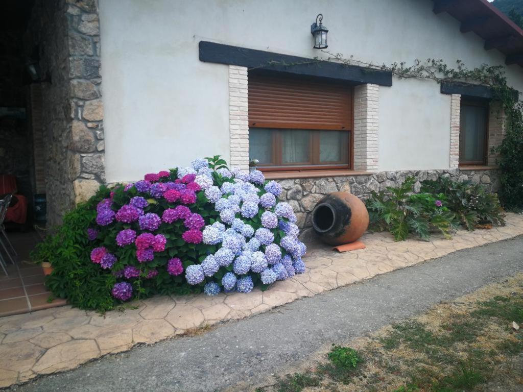 Casa Rural La Picotina Navaconcejo Kültér fotó