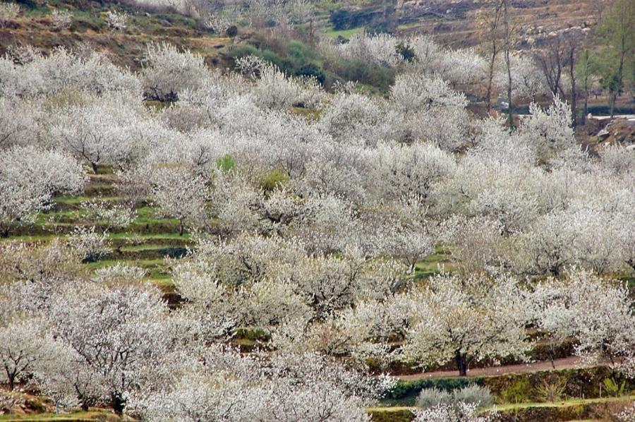 Casa Rural La Picotina Navaconcejo Kültér fotó
